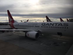 CB0A43F5-B91B-4AB6-B34D-FFD4DBF1D365.jpeg CB0A43F5-B91B-4AB6-B34D-FFD4DBF1D365.jpeg