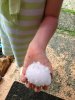 massive hail storm.jpg massive hail storm.jpg