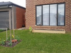 20190824_172826.jpg 20190824_172826.jpg