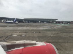 CC3E644E-A260-4196-A0F9-95699DABDA50.jpeg CC3E644E-A260-4196-A0F9-95699DABDA50.jpeg