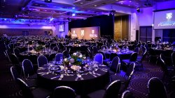 69863730_2909994402350504_580706804216889344_o.jpg 69863730_2909994402350504_580706804216889344_o.jpg