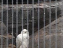 20161001102940_IMG_0005.jpg 20161001102940_IMG_0005.jpg