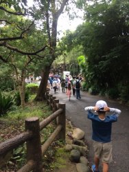 20161001103556_IMG_3950.jpg 20161001103556_IMG_3950.jpg