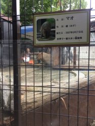 20161001123731_IMG_4012.jpg 20161001123731_IMG_4012.jpg