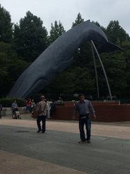 20161001133723_IMG_4060.jpg 20161001133723_IMG_4060.jpg