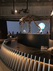 20161001141334_IMG_4061.jpg 20161001141334_IMG_4061.jpg