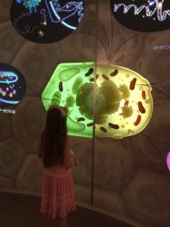 20161001141708_IMG_4067.jpg 20161001141708_IMG_4067.jpg