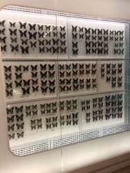 20161001141914_IMG_4078.jpg 20161001141914_IMG_4078.jpg