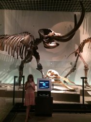 20161001143208_IMG_4091.jpg 20161001143208_IMG_4091.jpg