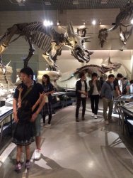 20161001144143_IMG_4100.jpg 20161001144143_IMG_4100.jpg