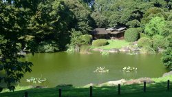 L1130334.jpg L1130334.jpg