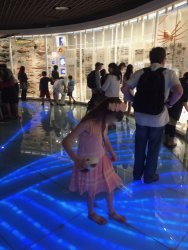 20161001142013_IMG_4080.jpg 20161001142013_IMG_4080.jpg