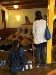 20161003103414_IMG_1262.jpg 20161003103414_IMG_1262.jpg