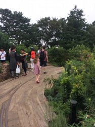 20161003104150_IMG_4430.jpg 20161003104150_IMG_4430.jpg