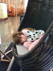 20160930084256_IMG_3844.jpg 20160930084256_IMG_3844.jpg