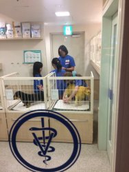 20161005112927_IMG_4759.jpg 20161005112927_IMG_4759.jpg