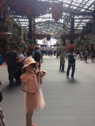 20161006104317_IMG_4911 (1).jpg 20161006104317_IMG_4911 (1).jpg