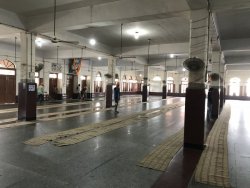 310F30BD-686F-45E0-8F8F-E7E3DF56FA57.jpeg 310F30BD-686F-45E0-8F8F-E7E3DF56FA57.jpeg