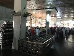 51530D13-872A-4D7A-80F0-3442D309CCED.jpeg 51530D13-872A-4D7A-80F0-3442D309CCED.jpeg