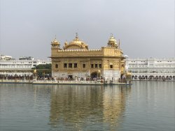 58D4C6F8-6FE9-43E1-A731-1CA260B6A190.jpeg 58D4C6F8-6FE9-43E1-A731-1CA260B6A190.jpeg