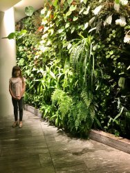 20170405041514_IMG_9827.jpg 20170405041514_IMG_9827.jpg