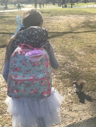 20170407092703_IMG_0062.jpg 20170407092703_IMG_0062.jpg