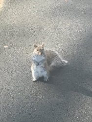 20170407092747_IMG_0071.jpg 20170407092747_IMG_0071.jpg