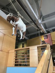 20170407125640_IMG_0400.jpg 20170407125640_IMG_0400.jpg