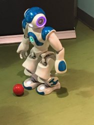 20170408125458_IMG_0776.jpg 20170408125458_IMG_0776.jpg