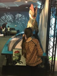 20170408131948_IMG_0802.jpg 20170408131948_IMG_0802.jpg