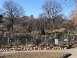 Screen Shot 2019-09-21 at 7.12.51 pm.jpg Screen Shot 2019-09-21 at 7.12.51 pm.jpg