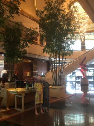 IMG_7482.jpg IMG_7482.jpg