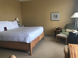 IMG_8006.jpg IMG_8006.jpg