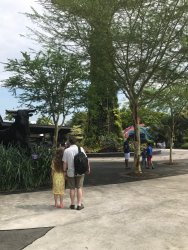 IMG_7491.jpg IMG_7491.jpg