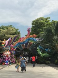 IMG_7505.jpg IMG_7505.jpg