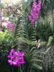 IMG_7511.jpg IMG_7511.jpg