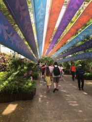 IMG_7513.jpg IMG_7513.jpg