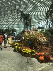 IMG_7543.jpg IMG_7543.jpg