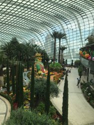 IMG_7552.jpg IMG_7552.jpg