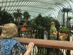 IMG_7556.jpg IMG_7556.jpg