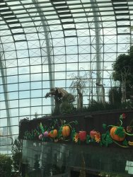 IMG_7568.jpg IMG_7568.jpg