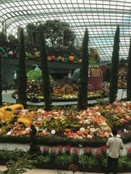 IMG_7570.jpg IMG_7570.jpg