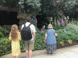 IMG_7594.jpg IMG_7594.jpg