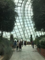 IMG_7606.jpg IMG_7606.jpg