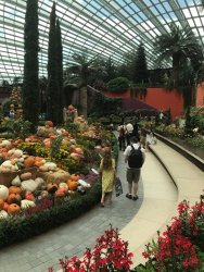 IMG_7633.jpg IMG_7633.jpg