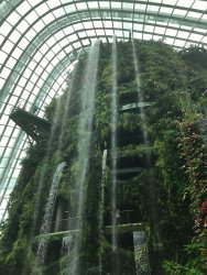 IMG_7690.jpg IMG_7690.jpg