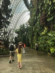 IMG_7713.jpg IMG_7713.jpg