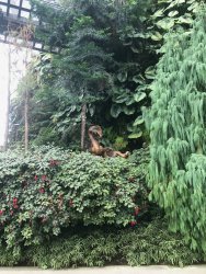 IMG_7730.jpg IMG_7730.jpg