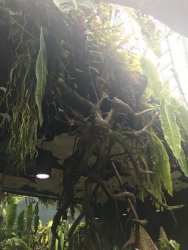 IMG_7835.jpg IMG_7835.jpg