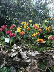 IMG_7754.jpg IMG_7754.jpg